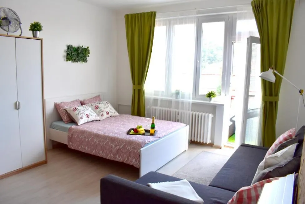 Prague City Centre Apartment Radka1